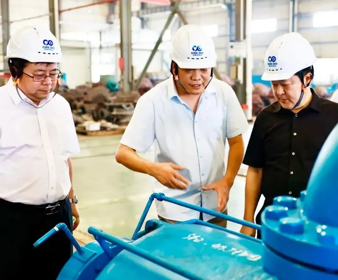 Mr Zhiren Liu, the Secretary of Xiangtan Municipal Party Committee Visited Credo Pump 2 Xiangtan Municipal Party Committees
