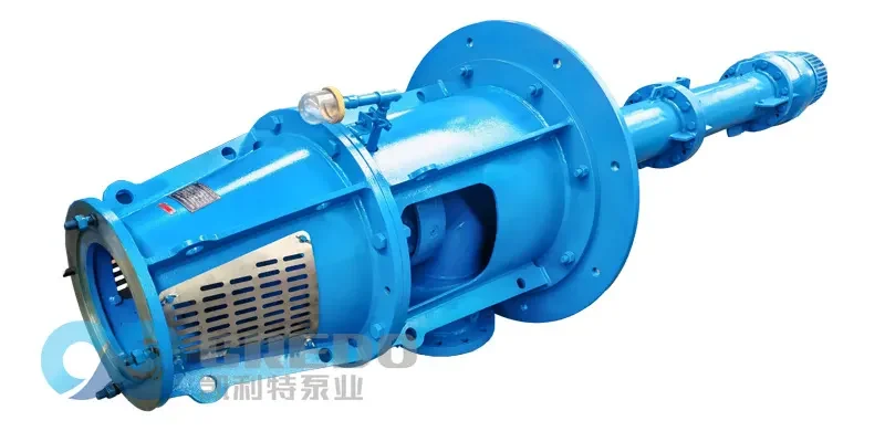 How to Install a Submersible Vertical Turbine Pump: Precautions and Best Practices 2 Submersible Vertical Turbine Pump