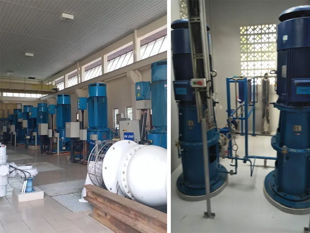 vertical turbine pump for water intake